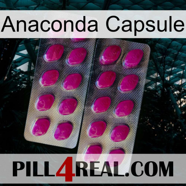 Anaconda Capsule 10.jpg